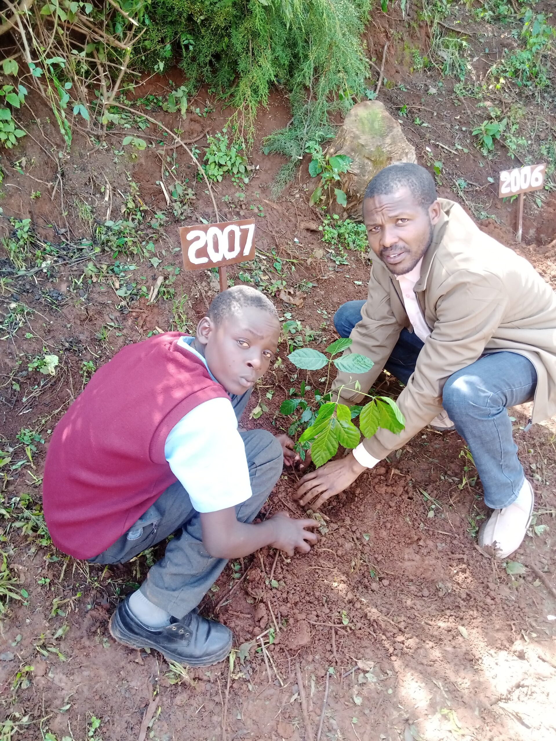 planting a tree at koiwa high during alumni day